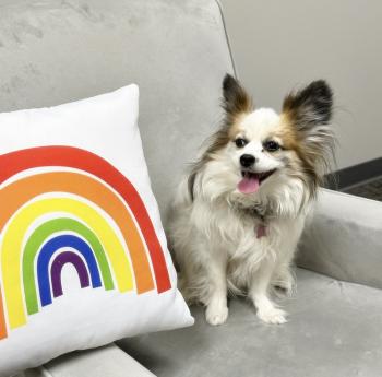 Pup and pride pillow